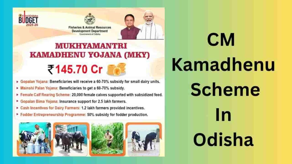 CM Kamadhenu Scheme In Odisha
