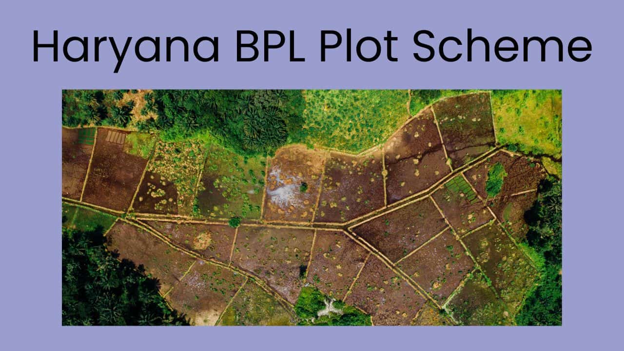 Haryana BPL Plot Scheme 2025