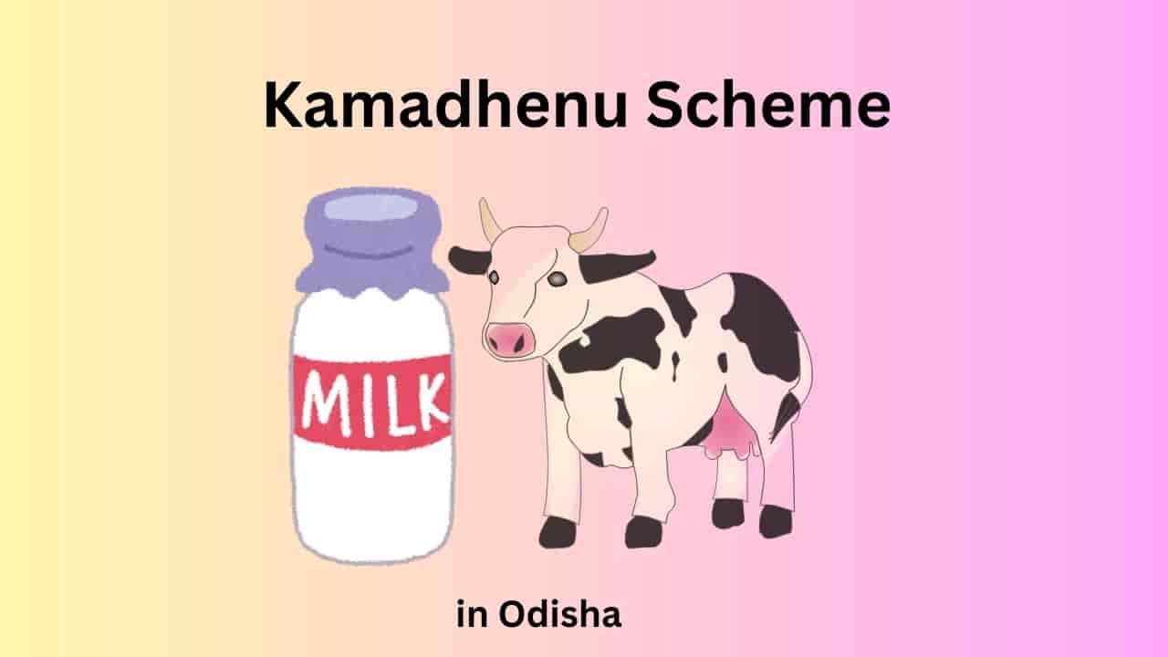Kamadhenu Scheme