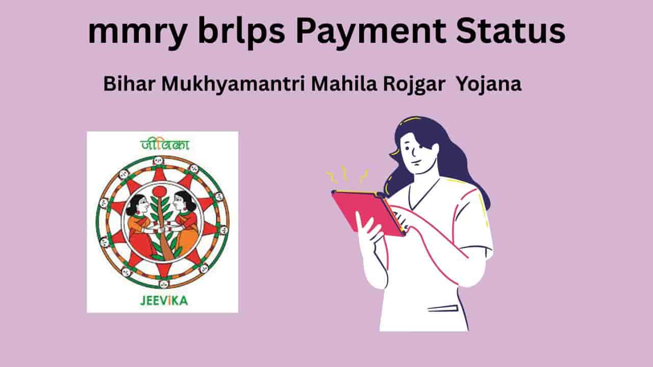 mmry brlps Payment Status